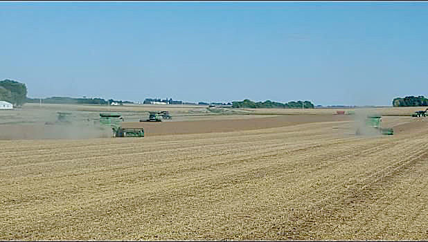 Lone Rock neighbors help with harvest
